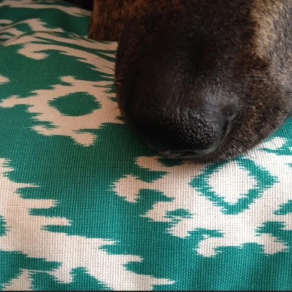 For Your Love of Dogs Jade Raji Ikat Dog Bed Cover